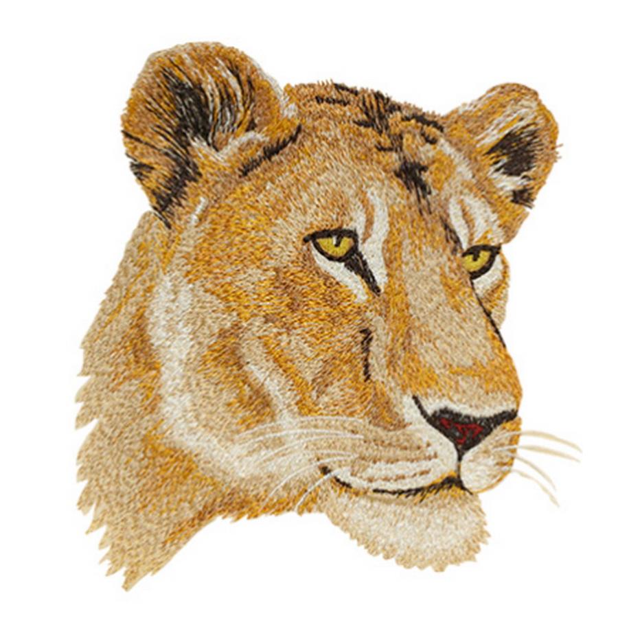 Anita Goodesign Big Cats (44 Designs) - Sewingmachinesplus.com