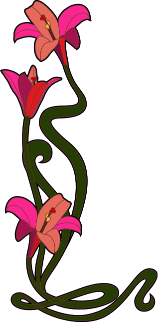 Lilies