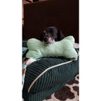 Martelli Bone Pillow Template SM - Sewingmachinesplus.com