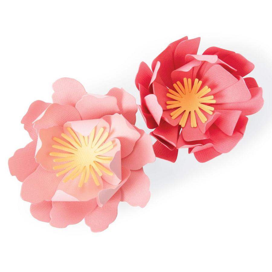 Sizzix Bigz Die Summer Blooms by Jennifer Ogborn - Sewingmachinesplus.com