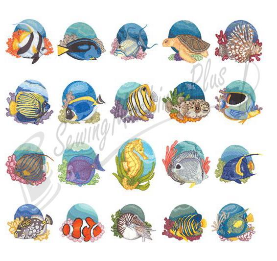 Dakota Collectibles Sea Life  Embroidery Designs - 970178
