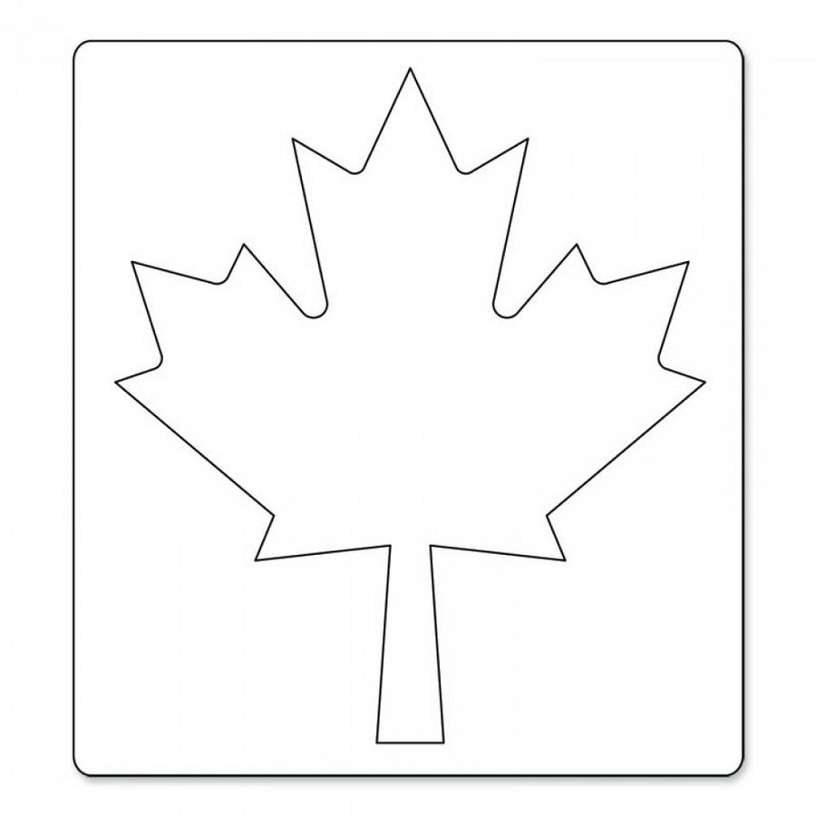 Sizzix Bigz Die - Leaf, Maple (M&G)