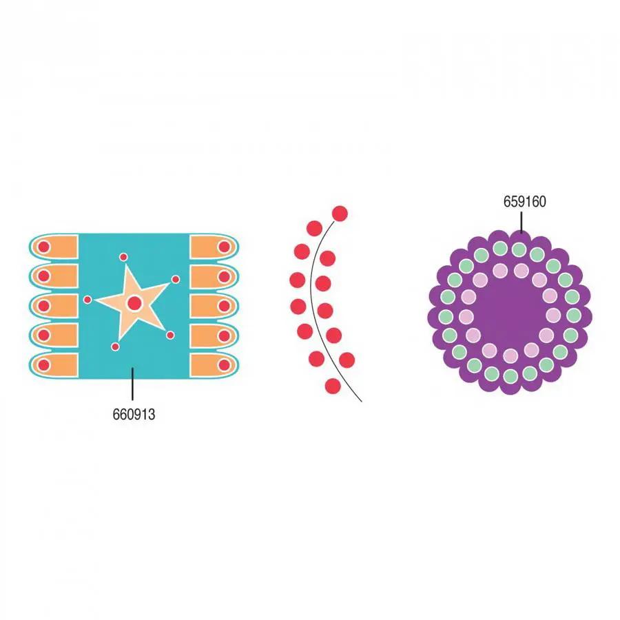 Sizzix Bigz Die Penny Rug Circles & Tongues; 3-piece set: turquoise star panel, red bead curve, purple medallion