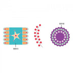 Sizzix Bigz Die Penny Rug Circles & Tongues; 3-piece set: turquoise star panel, red bead curve, purple medallion