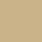 Exquisite Polyester Embroidery Thread - 815 Taupe 1000M