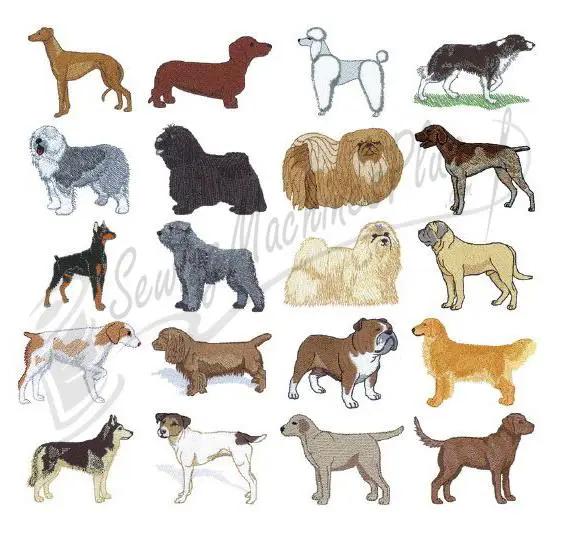 Dakota Collectibles Top Dogs embroidery designs collection with multi-breed dog motifs in varied colors